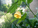 P1400287