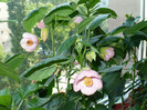 P1400289