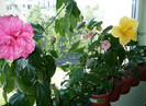 P1400325