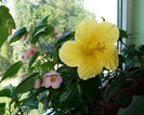 P1400326