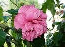 P1400327