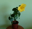 P1400368