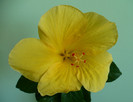 P1400371