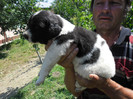 SAM_0526