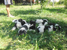 SAM_0528