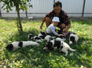 SAM_0529