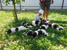 SAM_0530