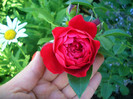 CIMG6146