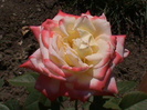 imperatrice farah