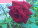 Image064