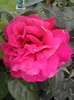 Photo0792