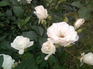 Photo0791
