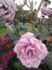 Photo0794