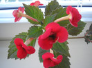 P7010403
