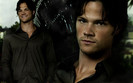 Jared (15)