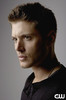 Jensen (14)