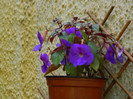 DSCN9730