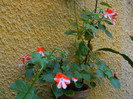 DSCN9731