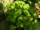 DSCN9738