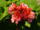 DSCN9742