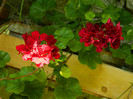 DSCN9754