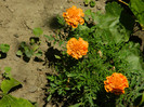 DSCN9756