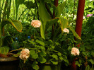 DSCN9778