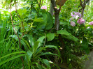DSCN9780