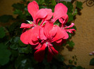 DSCN9783