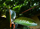 DSCN9787