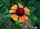 DSCN9797
