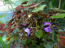 DSCN9798