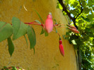 DSCN9813