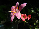 DSCN9816