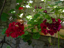 DSCN9819