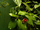 DSCN9828