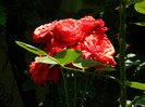 DSCN9837