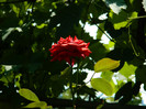 DSCN9838