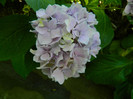 DSCN9841