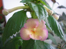 P6300399