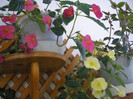 P6300397