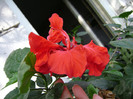 DSC08975