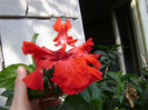 DSC08970