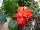 DSC08972
