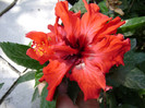 DSC08974