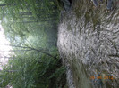 DSCN0934