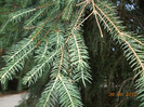 DSCN0957