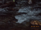 DSCN1010
