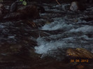 DSCN1011