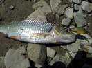 20120630_145344